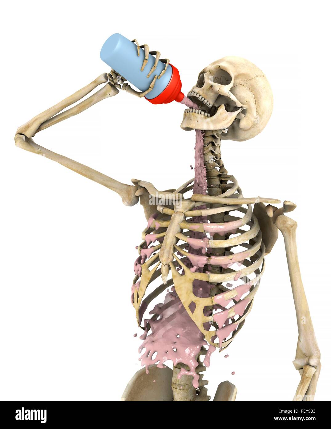Shows a skeleton hi-res stock photography and images - Alamy