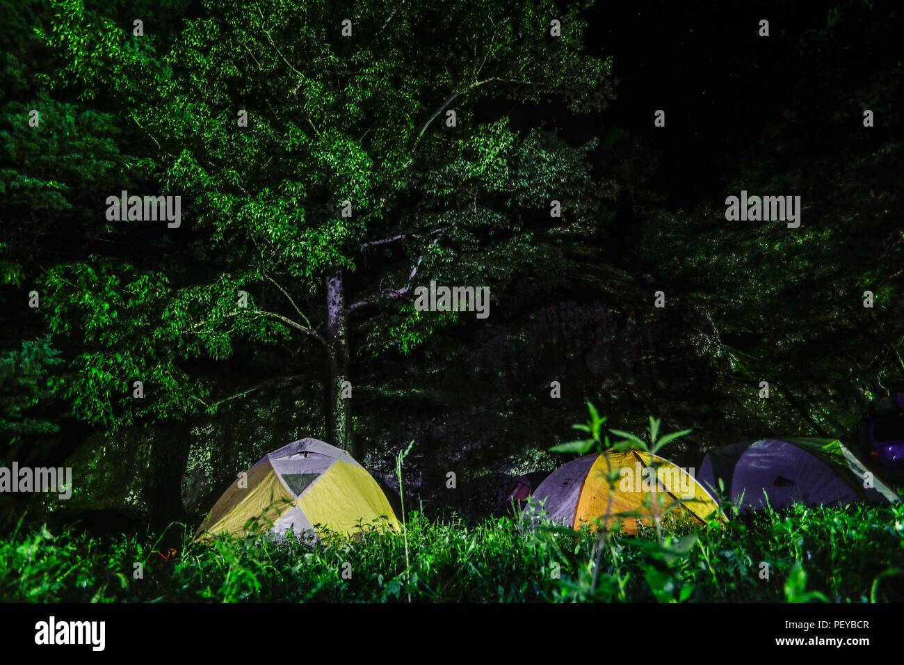 fotografia nocturna del campamento en medio del bosque. La Cueva De Tres Ríos, Sonora, Mexico. Noche... Night photography of the camp in the middle of the forest. The Cave of Tres Ríos, Sonora, Mexico. Night...    Expedición Discovery Madrense de GreaterGood ORG que recaba datos que  sirven como información de referencia para entender mejor las relaciones biológicas del Archipiélago Madrense y se usan para proteger y conservar las tierras vírgenes de las Islas Serranas Sonorenses. Expedición binacional aye une a colaboradores  de México y Estados Unidos con experiencias y especialidades de las Stock Photo