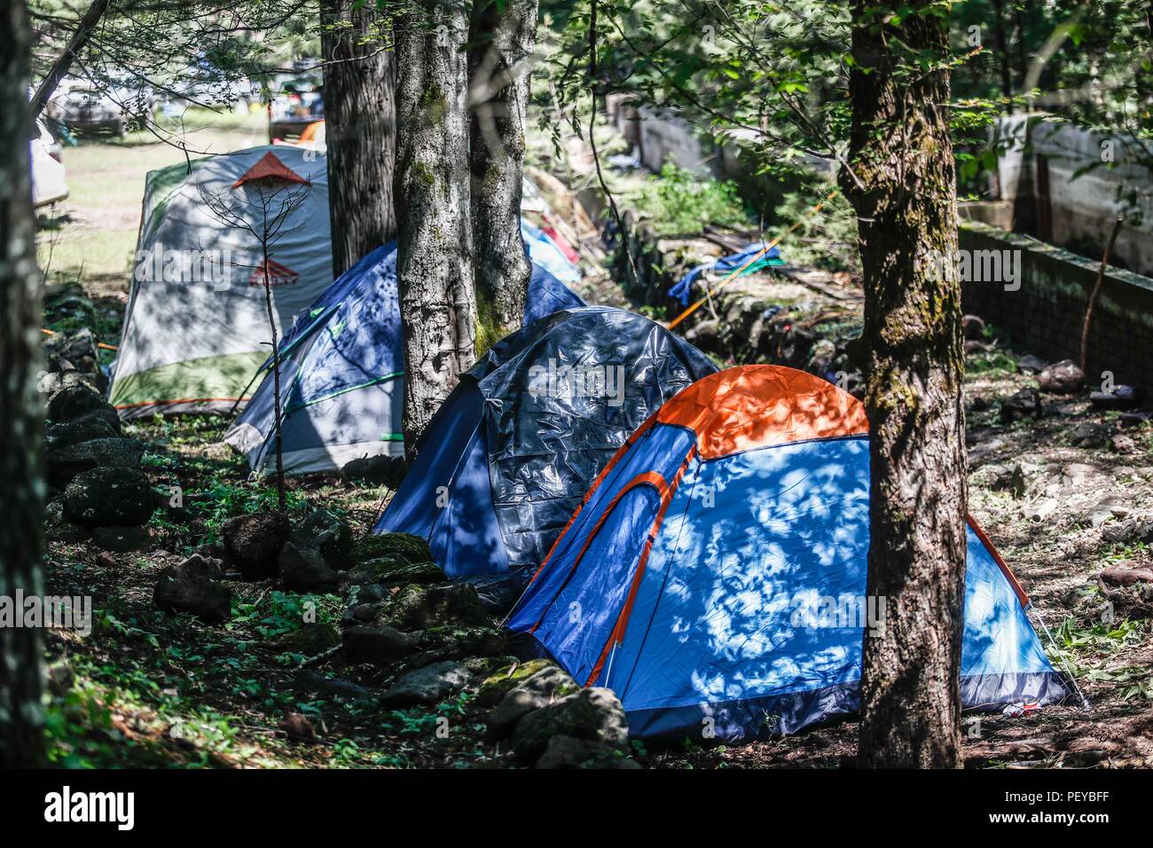 Tiendas de campaña. Campamento de la MDE en la  La Cueva De Tres Ríos,  Sonora, Mexico. Bosque.  Tents. MDE camp in La Cueva De Tres Ríos, Sonora, Mexico. Forest.   Expedición Discovery Madrense de GreaterGood ORG que recaba datos que  sirven como información de referencia para entender mejor las relaciones biológicas del Archipiélago Madrense y se usan para proteger y conservar las tierras vírgenes de las Islas Serranas Sonorenses. Expedición binacional aye une a colaboradores  de México y Estados Unidos con experiencias y especialidades de las ciencias biológicas  variadas, con la intención  Stock Photo