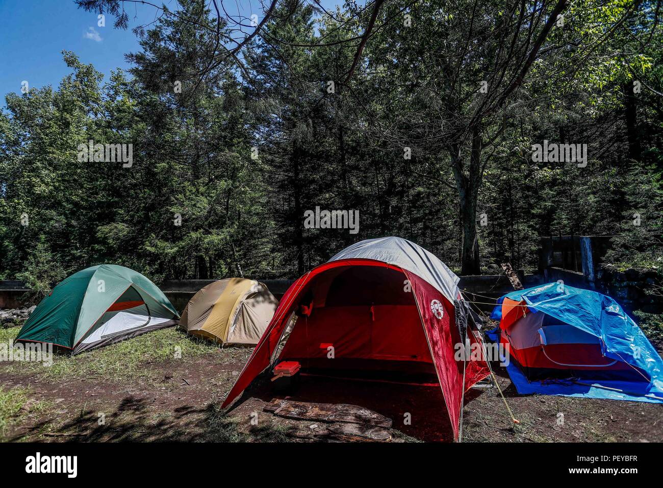 Tiendas de campaña. Campamento de la MDE en la  La Cueva De Tres Ríos,  Sonora, Mexico. Bosque.  Tents. MDE camp in La Cueva De Tres Ríos, Sonora, Mexico. Forest.   Expedición Discovery Madrense de GreaterGood ORG que recaba datos que  sirven como información de referencia para entender mejor las relaciones biológicas del Archipiélago Madrense y se usan para proteger y conservar las tierras vírgenes de las Islas Serranas Sonorenses. Expedición binacional aye une a colaboradores  de México y Estados Unidos con experiencias y especialidades de las ciencias biológicas  variadas, con la intención  Stock Photo