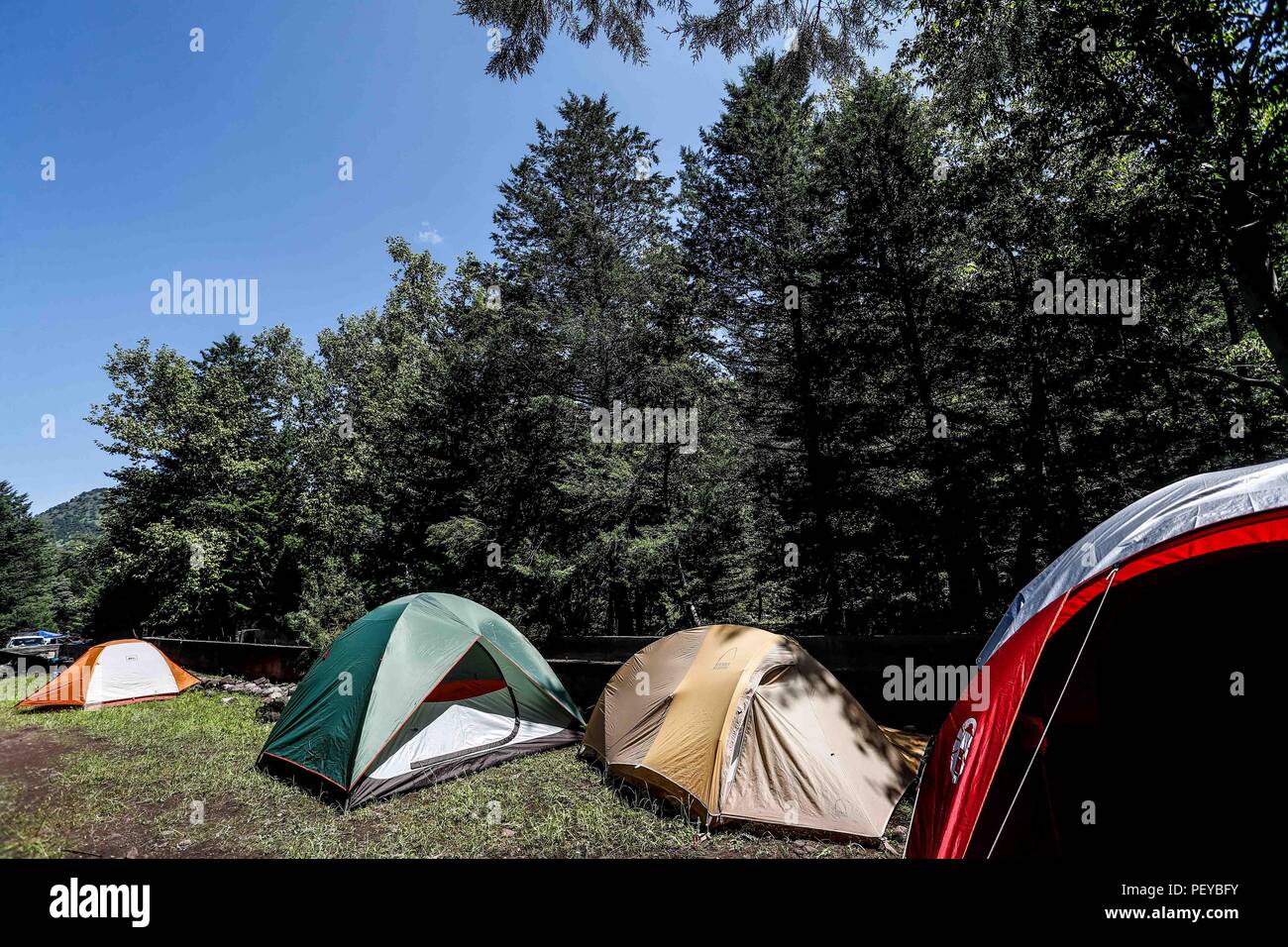 Tiendas de campaña. Campamento de la MDE en la  La Cueva De Tres Ríos,  Sonora, Mexico. Bosque.  Tents. MDE camp in La Cueva De Tres Ríos, Sonora, Mexico. Forest.   Expedición Discovery Madrense de GreaterGood ORG que recaba datos que  sirven como información de referencia para entender mejor las relaciones biológicas del Archipiélago Madrense y se usan para proteger y conservar las tierras vírgenes de las Islas Serranas Sonorenses. Expedición binacional aye une a colaboradores  de México y Estados Unidos con experiencias y especialidades de las ciencias biológicas  variadas, con la intención  Stock Photo