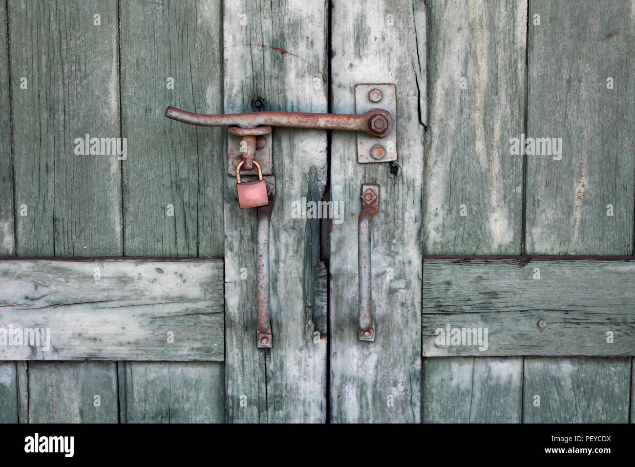 Rustic old green wooden doors closeup with two rusted metal handles and