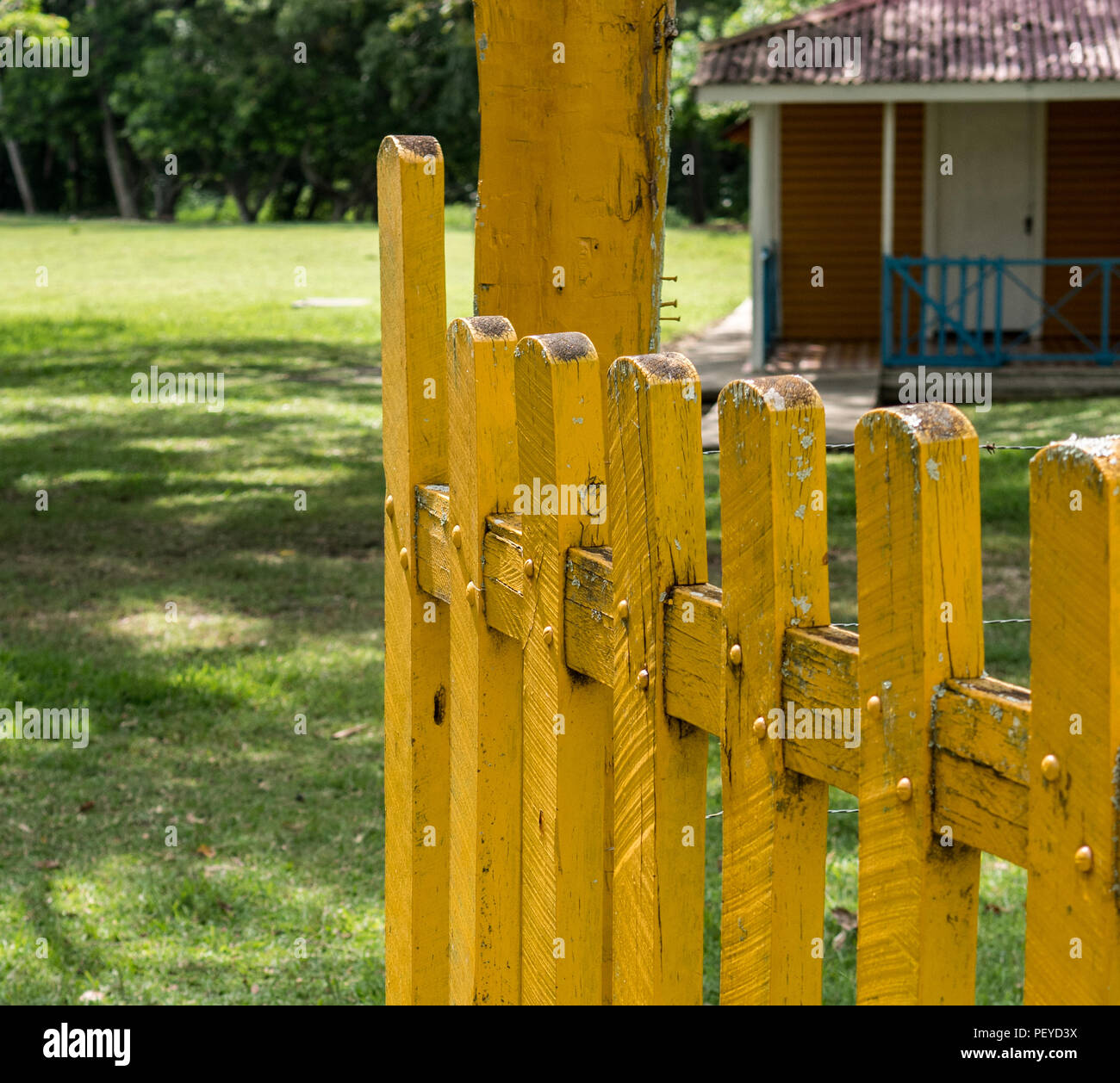 Birán, Cuba - September 1, 2017: A yellow painted fence on the plantation where Fidel Castro was born. Partial view of the guest hotel can be seen in  Stock Photo