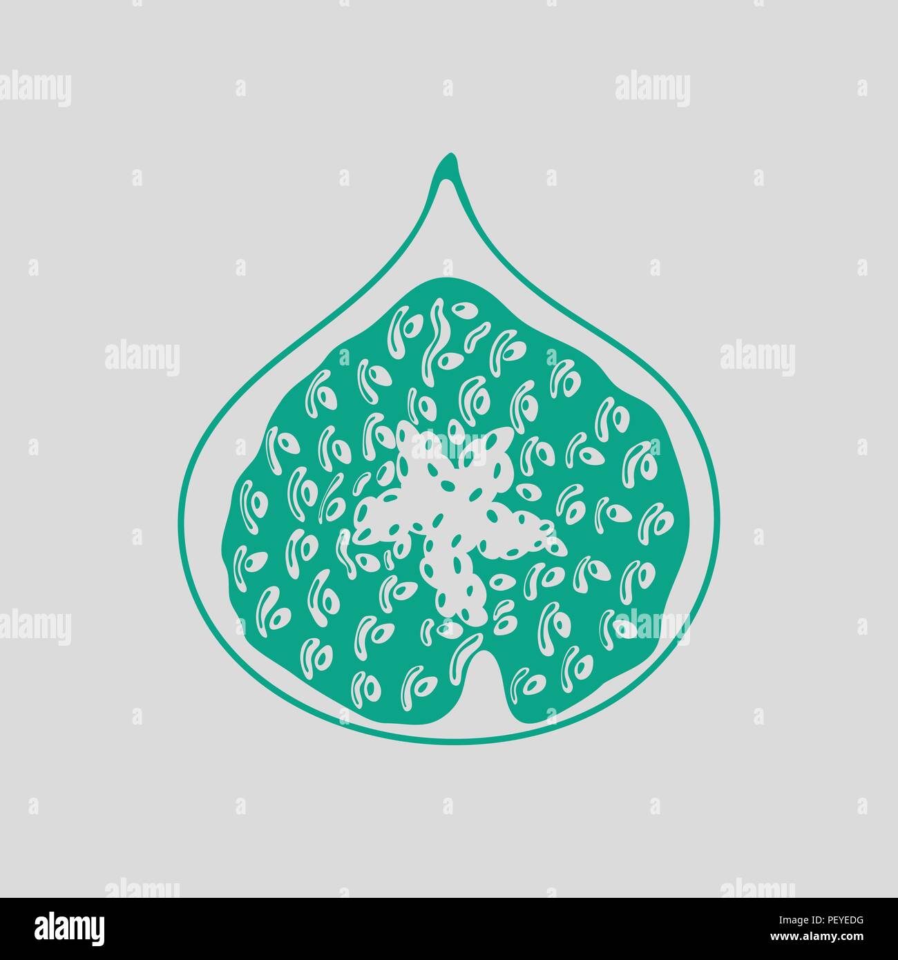 Icon of Fig fruit. Gray background with green. Vector illustration. Stock Vector