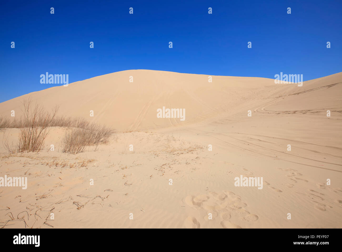 The desert under the blue sky Stock Photo - Alamy