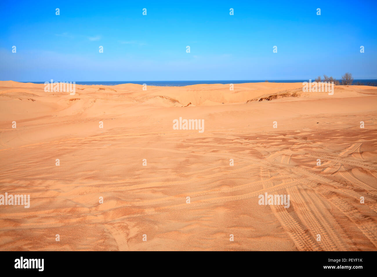 The desert under the blue sky Stock Photo - Alamy