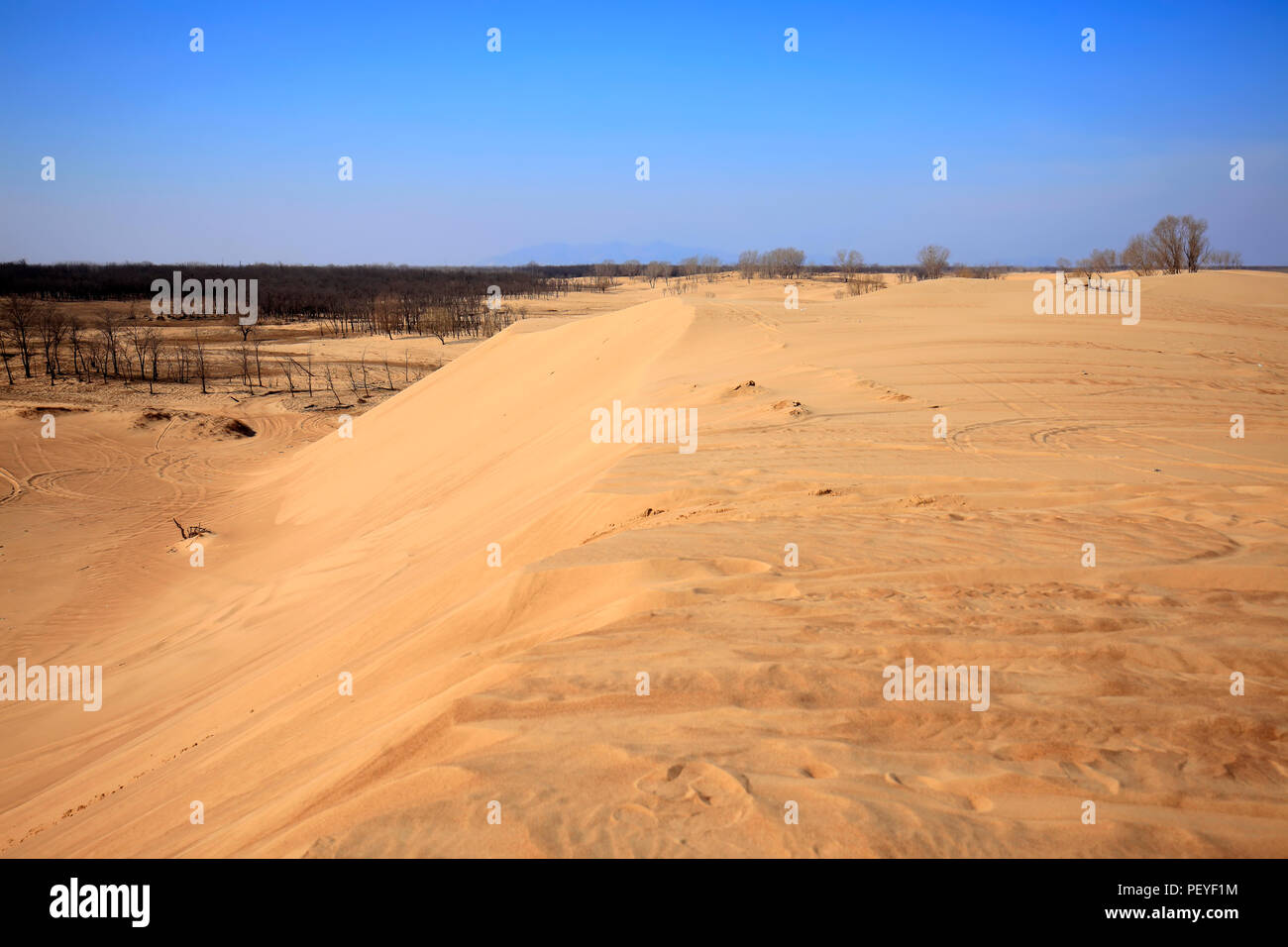 The desert under the blue sky Stock Photo - Alamy