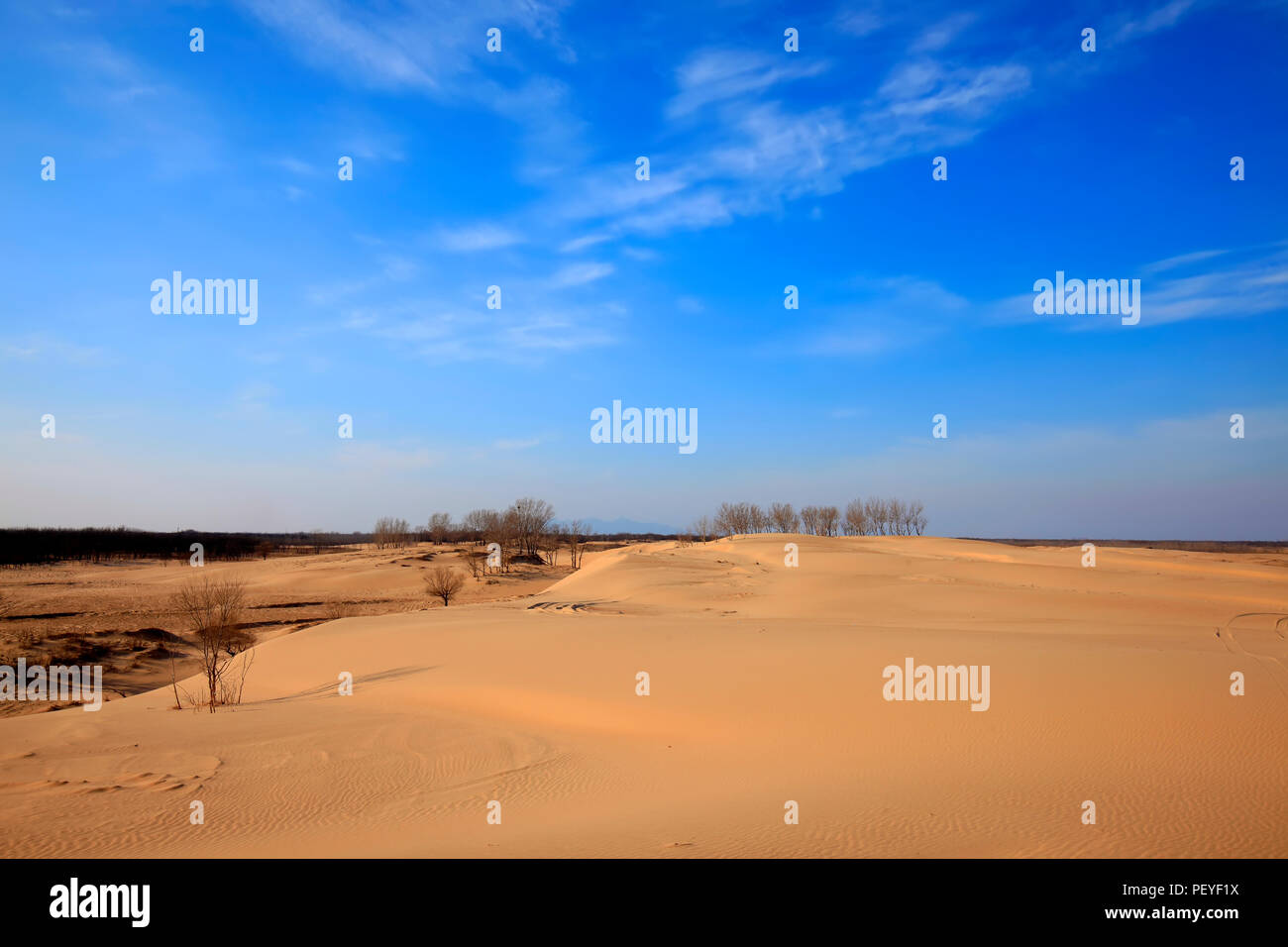 The desert under the blue sky Stock Photo - Alamy
