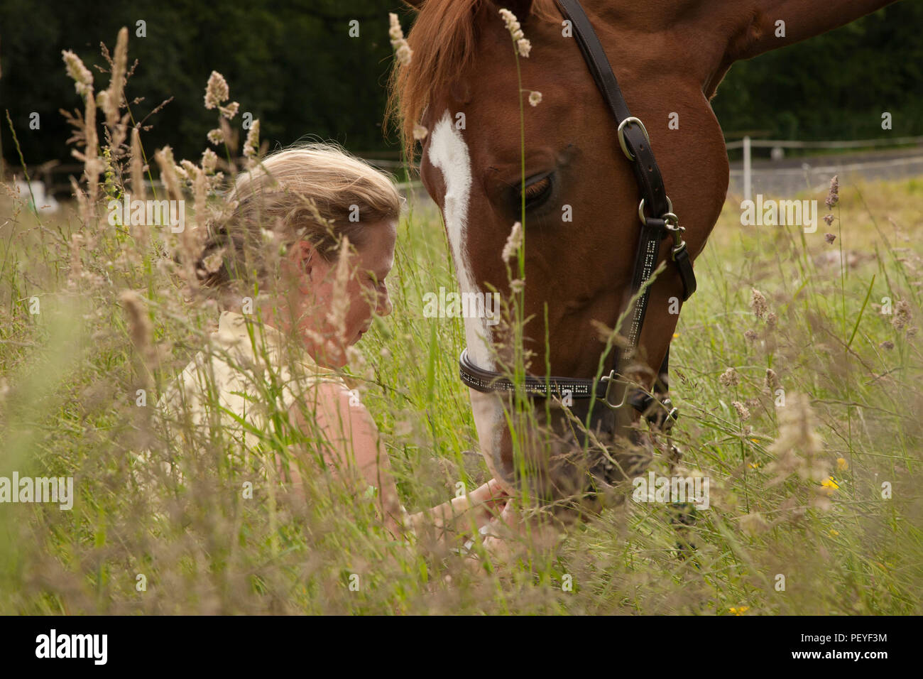 Para Dressage rider Marcelle Ward Horse in meadow with girl Stock Photo