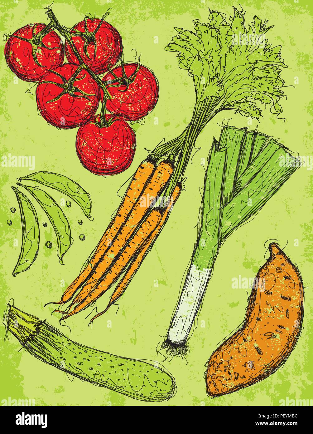 Vegetable sketches Mixed vegetables over a textured background. Stock Vector