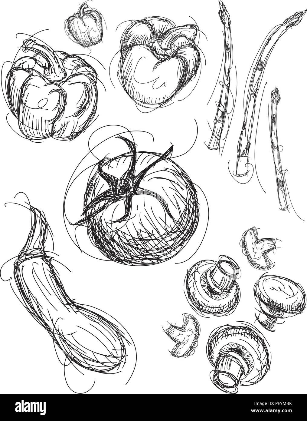Vegetable Medley. Sketchy, hand drawn vegetables Stock Vector