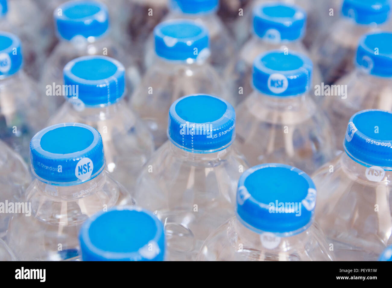Rows of water plastic bottles and cap seal NSF us standard Stock Photo -  Alamy