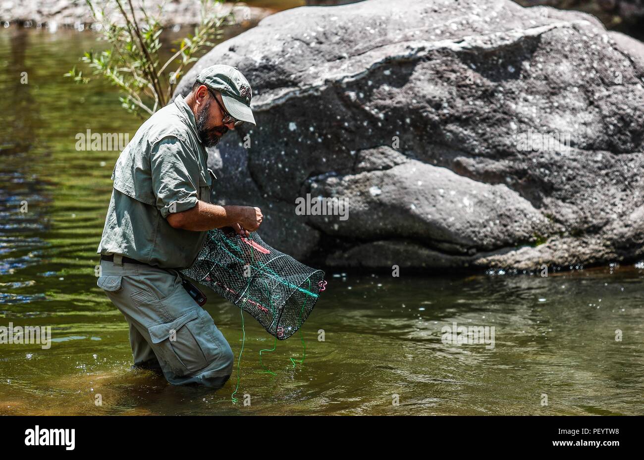 John Eric Falafal Of Wildlife And Fisheries Ecology Prepares Traps To John eric falafal of wildlife and fisheries ecology prepares traps to