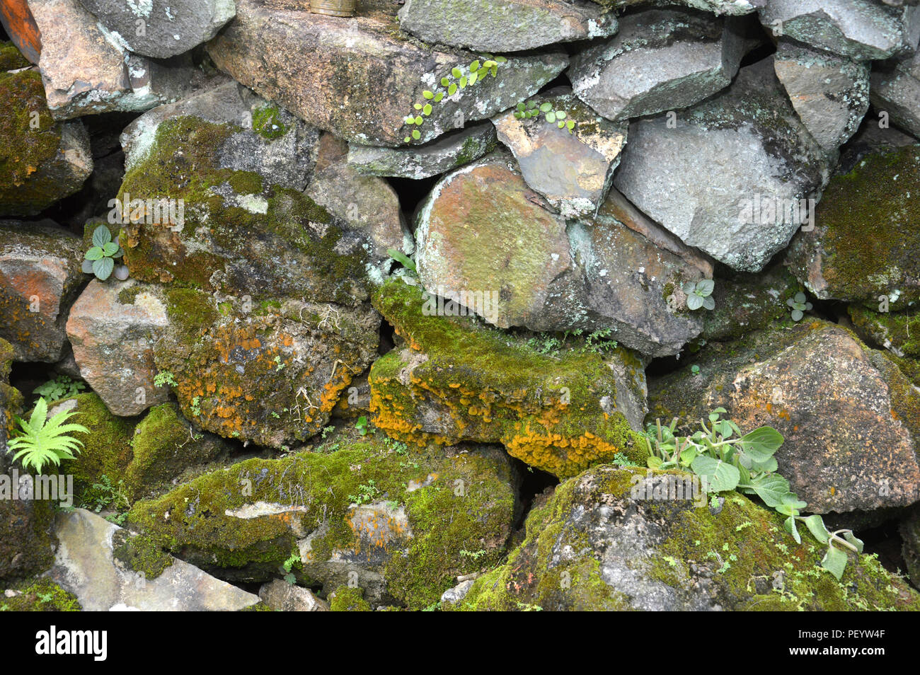 rock wall background Stock Photo - Alamy