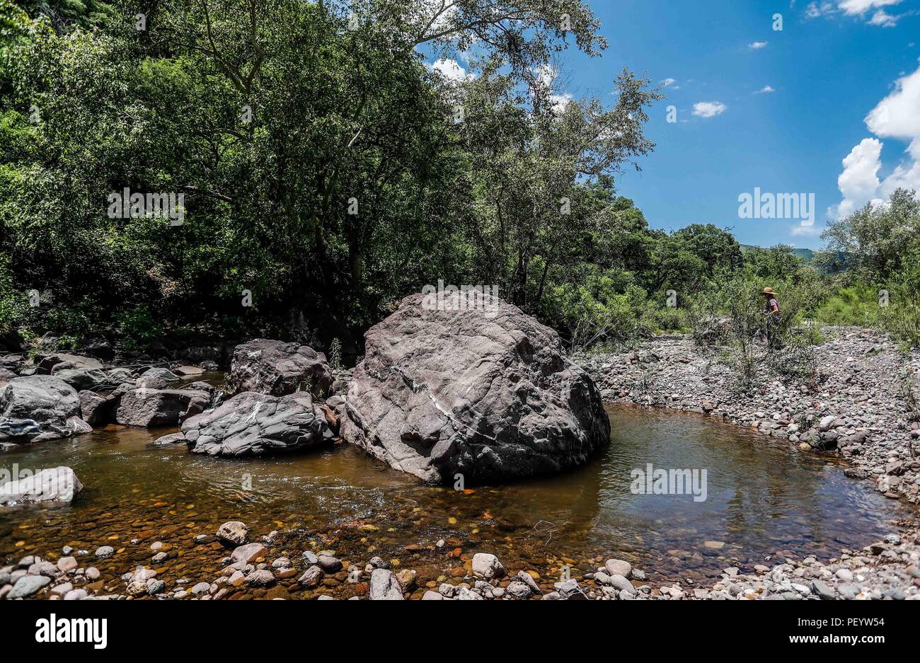 Landscape with view to the mountain and the water of the stream. Daylight Paisaje con vista a la montaña y el agua del arroyo. Luz de dia   (Foto: LuisGutierrez/NortePhoto.com)   Expedición Discovery Madrense de GreaterGood ORG que recaba datos que  sirven como información de referencia para entender mejor las relaciones biológicas del Archipiélago Madrense y se usan para proteger y conservar las tierras vírgenes de las Islas Serranas Sonorenses. Expedición binacional aye une a colaboradores  de México y Estados Unidos con experiencias y especialidades de las ciencias biológicas  variadas, con Stock Photo