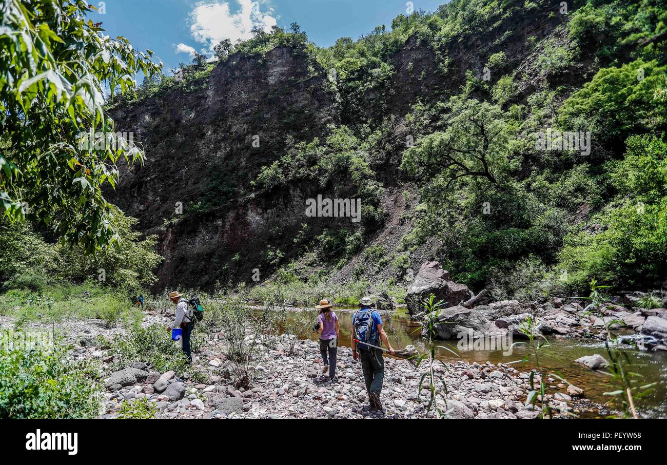 Landscape with view to the mountain and the water of the stream. Daylight Paisaje con vista a la montaña y el agua del arroyo. Luz de dia   (Foto: LuisGutierrez/NortePhoto.com)   Expedición Discovery Madrense de GreaterGood ORG que recaba datos que  sirven como información de referencia para entender mejor las relaciones biológicas del Archipiélago Madrense y se usan para proteger y conservar las tierras vírgenes de las Islas Serranas Sonorenses. Expedición binacional aye une a colaboradores  de México y Estados Unidos con experiencias y especialidades de las ciencias biológicas  variadas, con Stock Photo