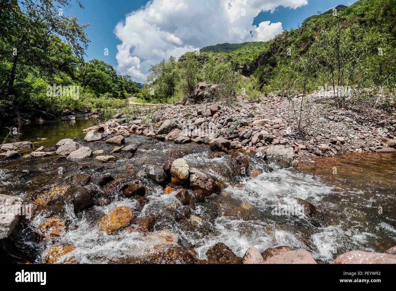 Landscape with view to the mountain and the water of the stream. Daylight Paisaje con vista a la montaña y el agua del arroyo. Luz de dia   (Foto: LuisGutierrez/NortePhoto.com)   Expedición Discovery Madrense de GreaterGood ORG que recaba datos que  sirven como información de referencia para entender mejor las relaciones biológicas del Archipiélago Madrense y se usan para proteger y conservar las tierras vírgenes de las Islas Serranas Sonorenses. Expedición binacional aye une a colaboradores  de México y Estados Unidos con experiencias y especialidades de las ciencias biológicas  variadas, con Stock Photo