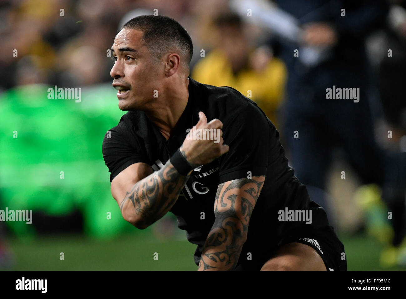 Sydney, Australia. 18th August 2018. The Rugby Championship, Australia  versus New Zealand; Aaron Smith of New Zealand after scoring a try Credit:  Action Plus Sports Images/Alamy Live News Stock Photo - Alamy, image size:1300x957