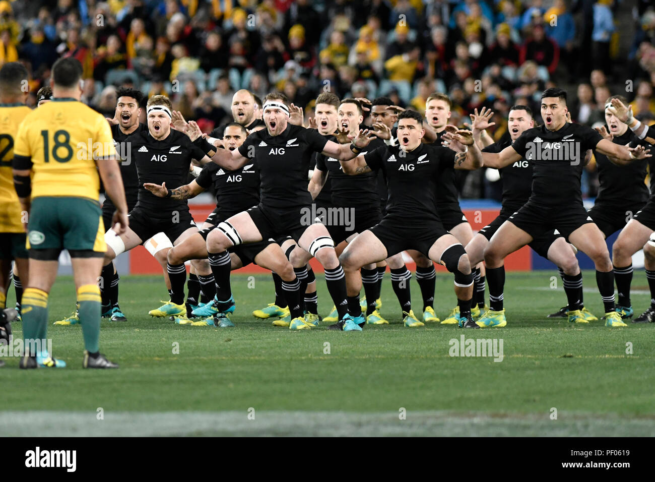 New zealand leads the haka hi-res stock photography and images - Alamy