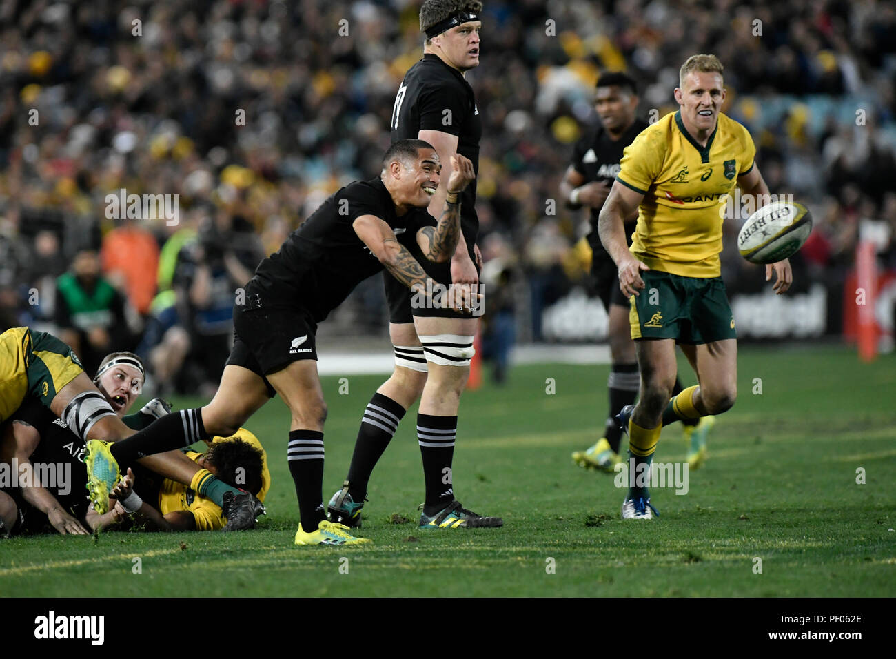 Aaron smith australia hi-res stock photography and images - Alamy