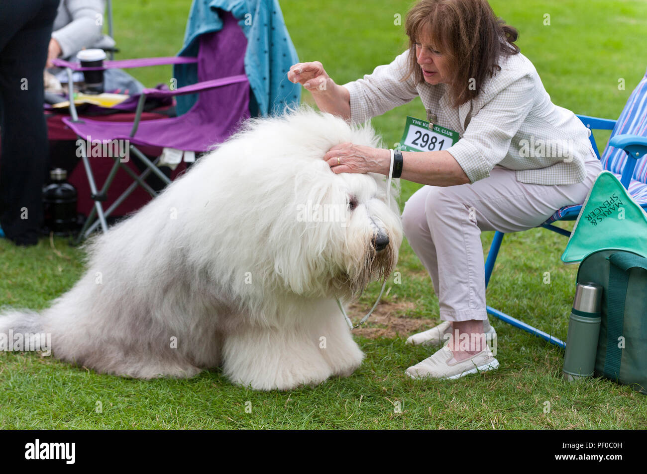 The Welsh Kennel Club