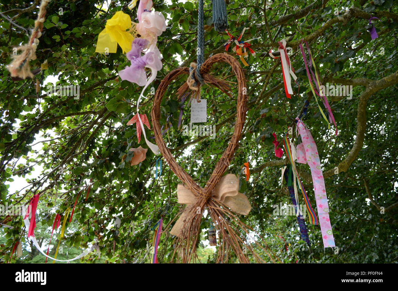 A wishing tree at Avebury, a monument containing three stone circles, around the village of Avebury in Wiltshire, in southwest England. Stock Photo