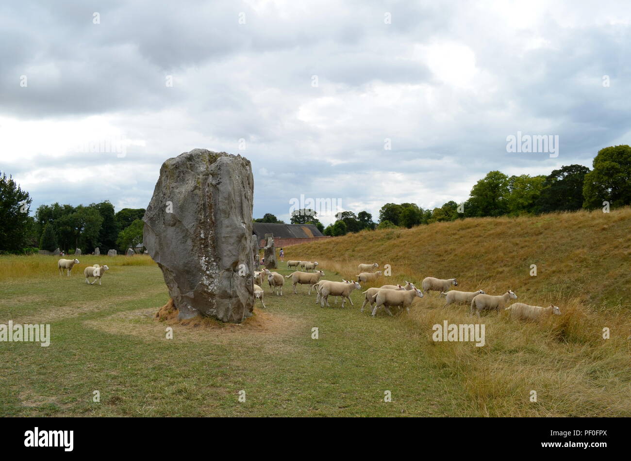 Sheep graze at Avebury, a monument containing three stone circles, around the village of Avebury in Wiltshire, in southwest England. Stock Photo