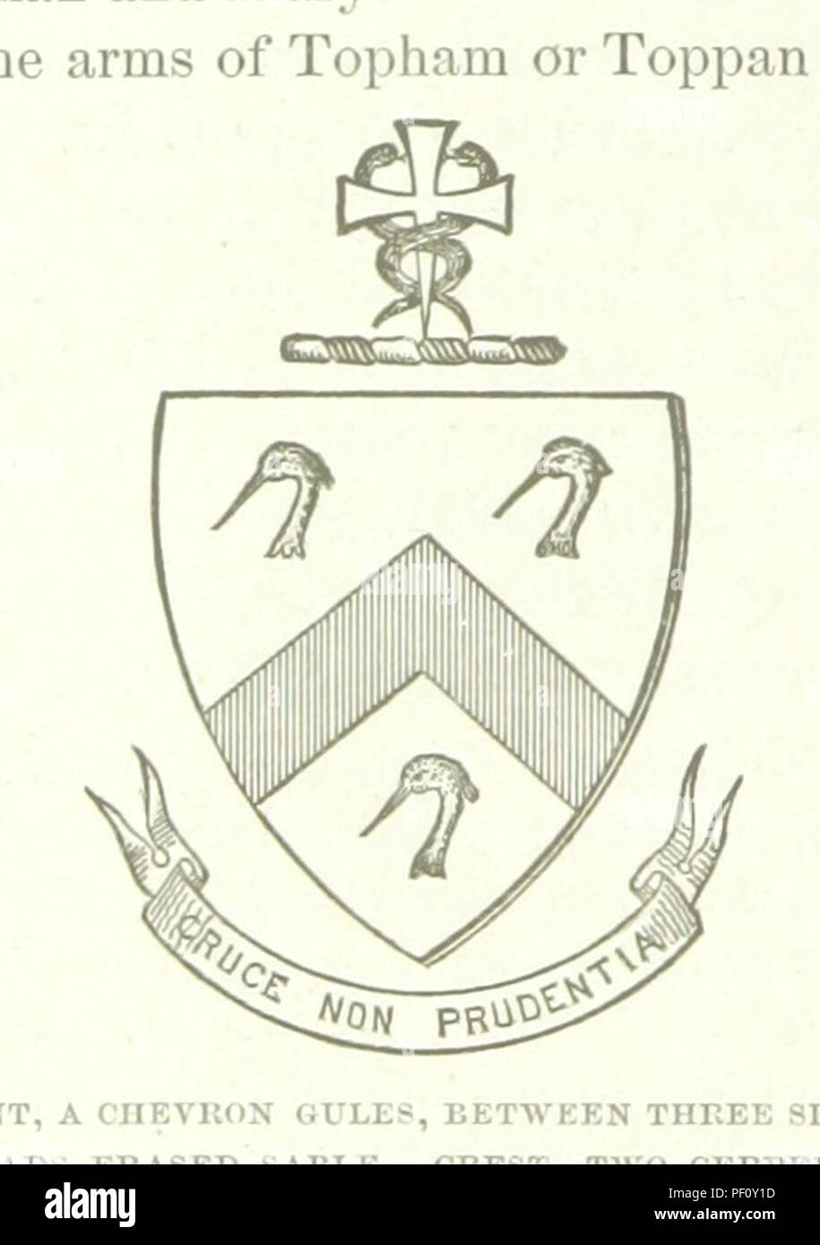 Nonagenarian Stock Photos & Nonagenarian Stock Images - Alamy