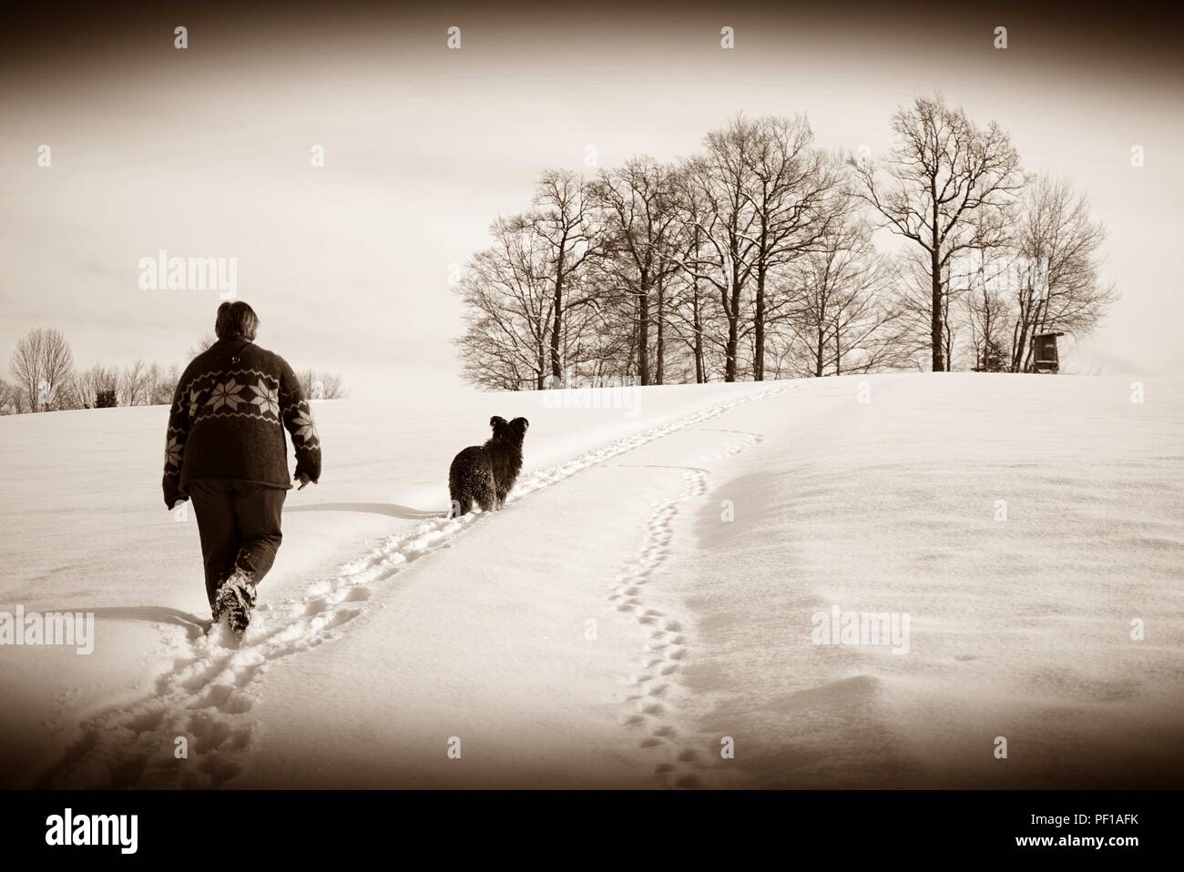 Snowscape, woman with dog walking a path that trails off in the distance. B/W sepia with vignetting. Stock Photo