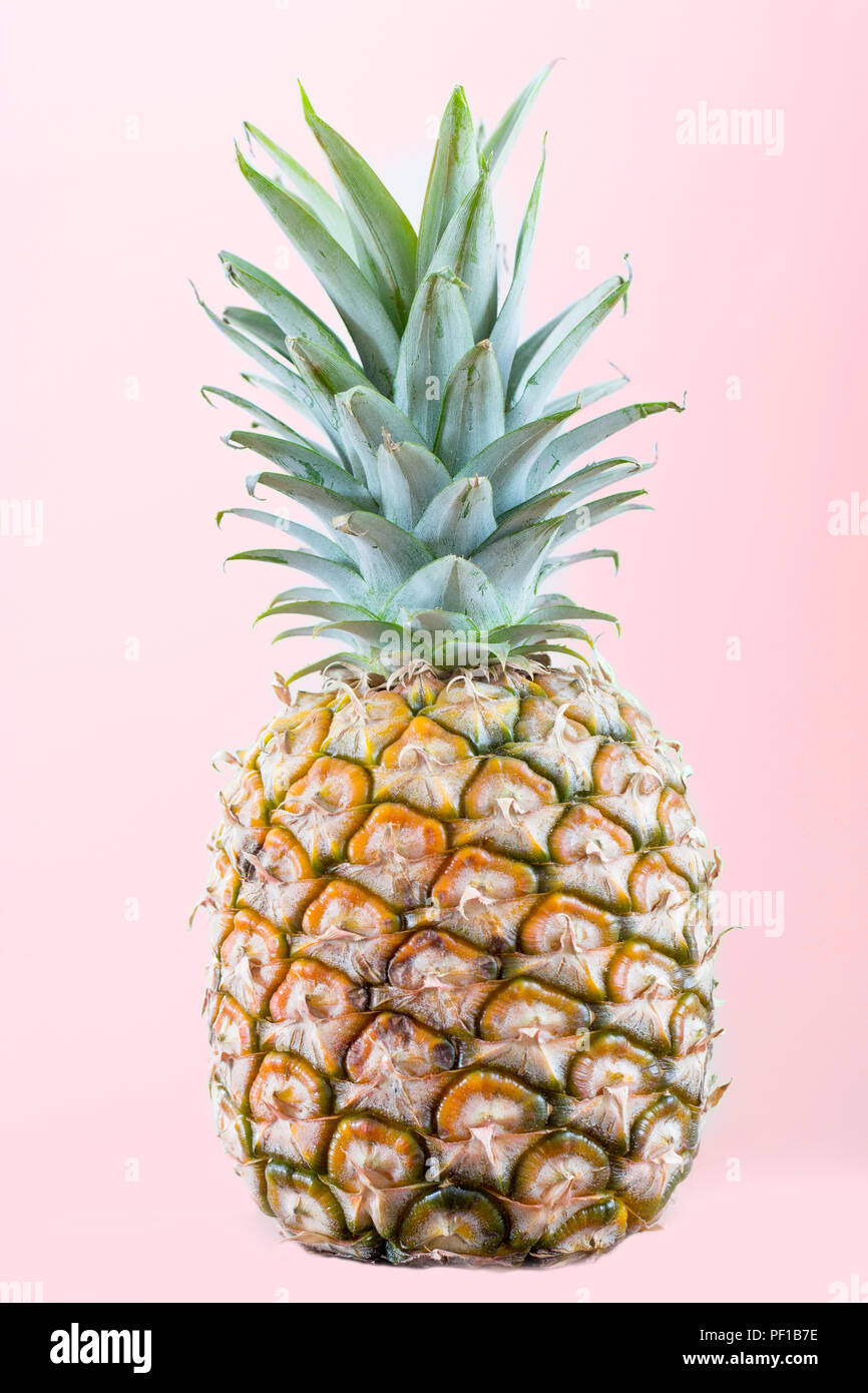 pineapple on pink background Stock Photo
