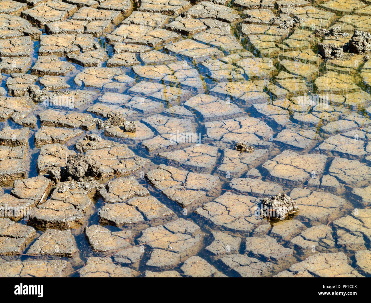 Looking down on a small area of dried, cracked mud with a shallow covering of water Stock Photo