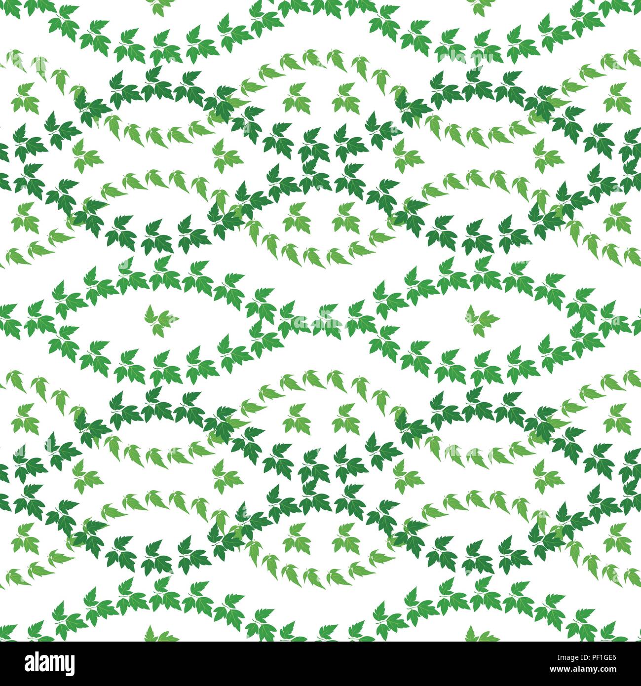 Seamless pattern, maple green leaves, isolated on white background ...