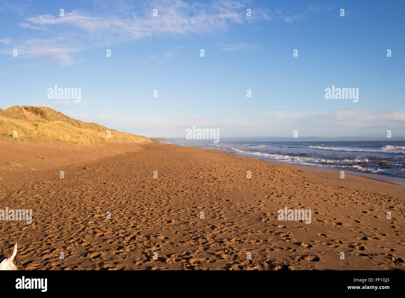 Balmedie hi-res stock photography and images - Alamy