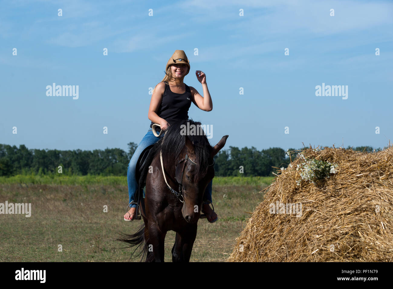 Young beautiful girl with a horse on nature Stock Photo Alamy