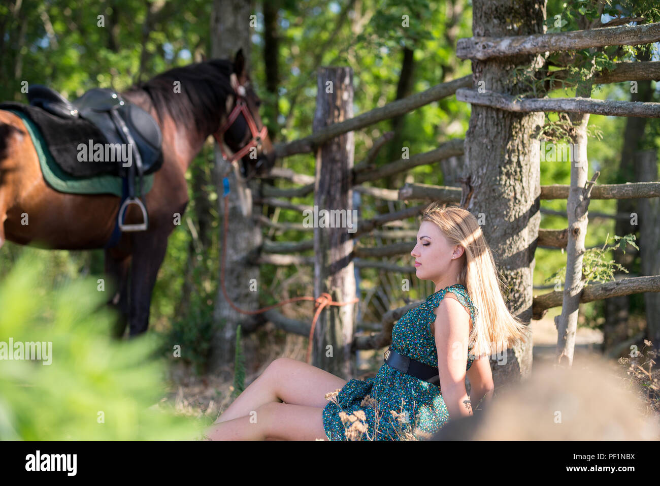 Young beautiful girl with a horse on nature Stock Photo Alamy