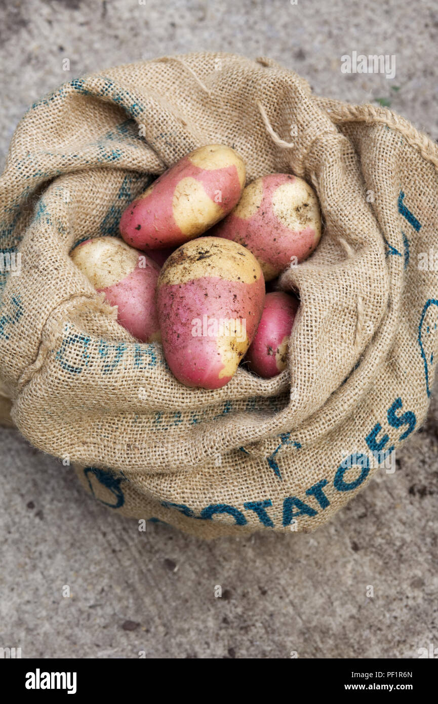 Hessian sacks discount for storing potatoes