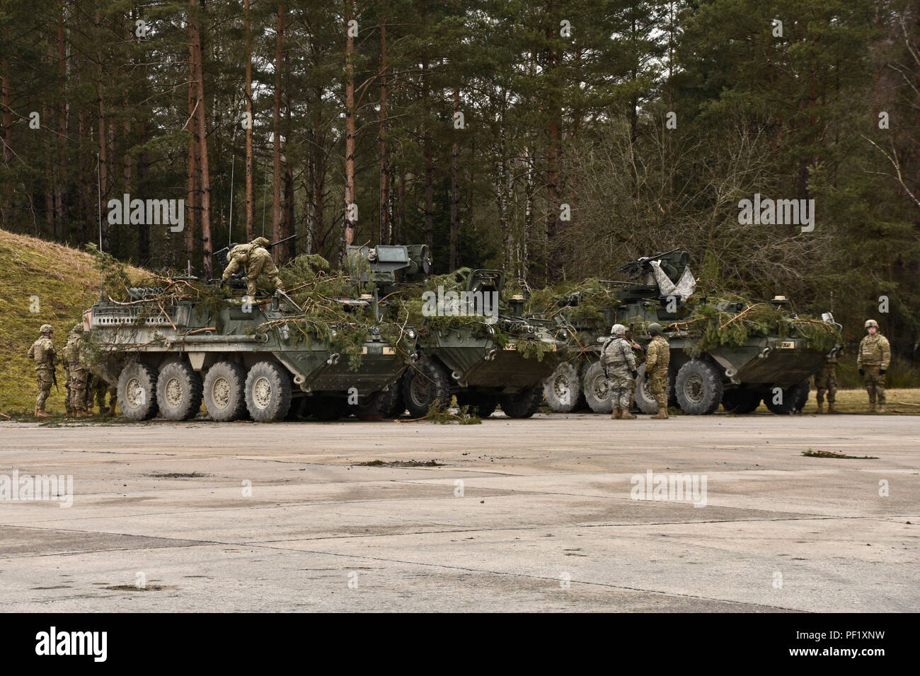 Troopers assigned to Palehorse Troop, 4th Squadron, 2nd Cavalry Regiment, ground guides his assigned Stryker Combat Vehicle into a parking spot before participating in his unit's live-fire exercise at the Grafenwoehr Training Area, located near Rose Barracks, Germany, Feb. 24, 2016. The unit used this exercise to update and train their Soldiers on tactical ground combat techniques while also conducting live-fire ranges on their FGM-148 Javelin missiles and their Stryker Mobile Gun System. (U.S. Army photo by Sgt. William A. Tanner) Stock Photo