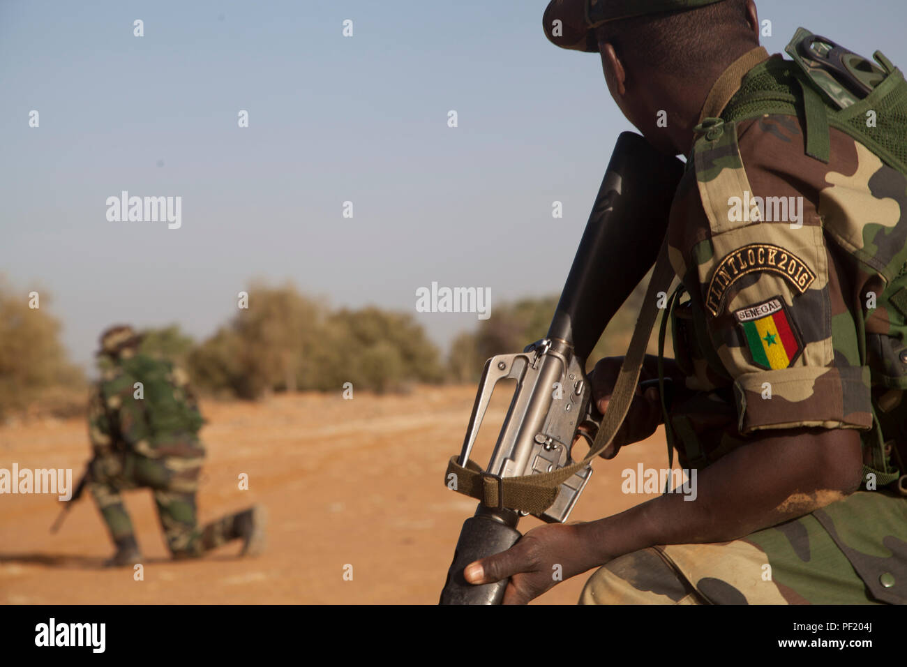 Senegalese soldier waits for a squad leader to give hand signals during ...