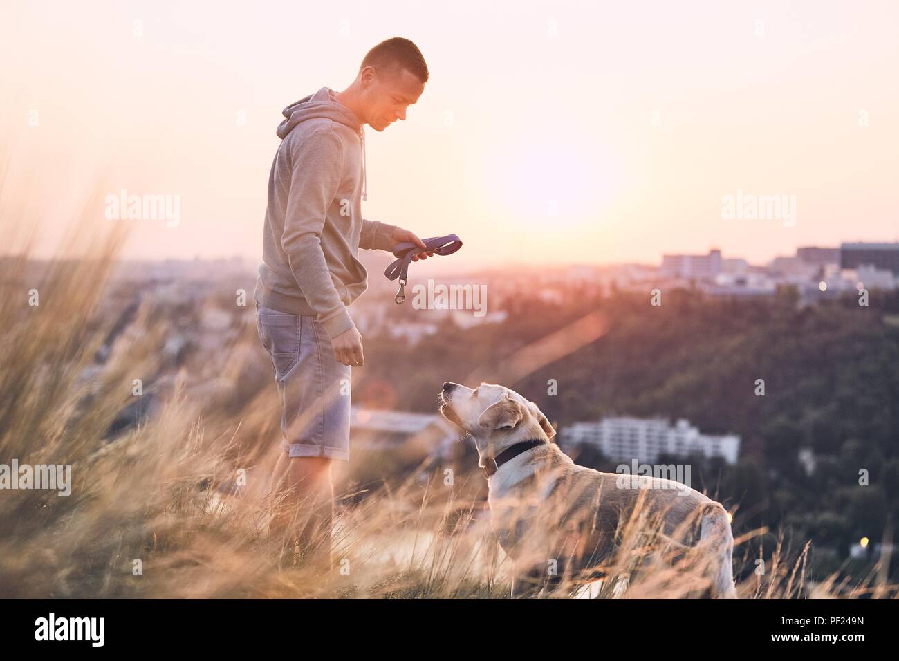 Morning walk with dog. Young man and his labrador retriever on the meadow against city at sunrise. Stock Photo