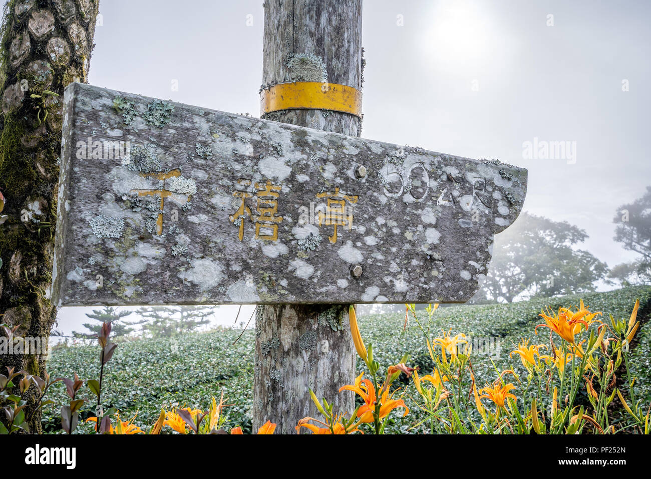Taim Ali Taitung, Taiwan August 13, 2018:the daylily hillside landmark at ...