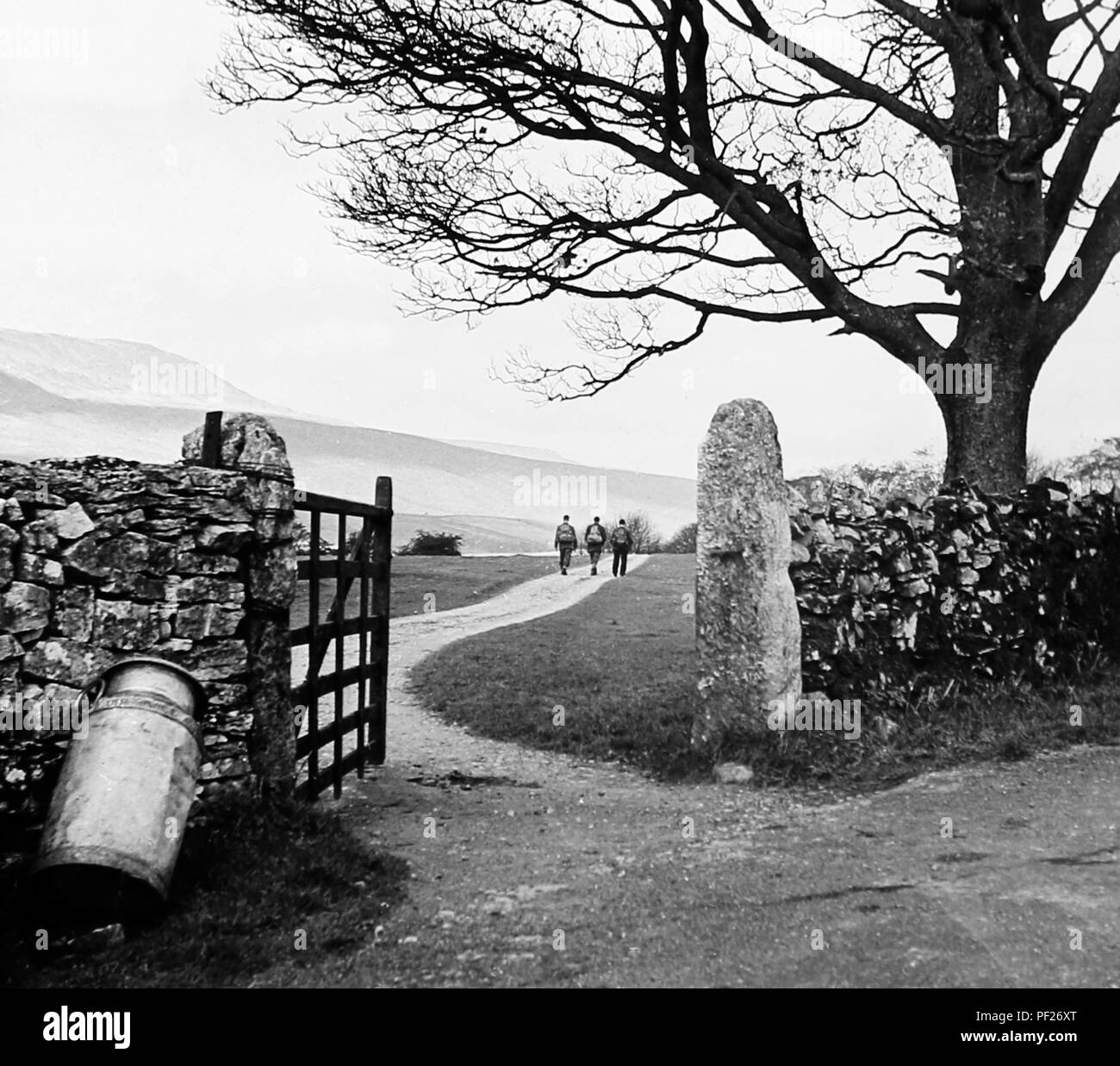 The lane to Whernside in the 1930s Stock Photo