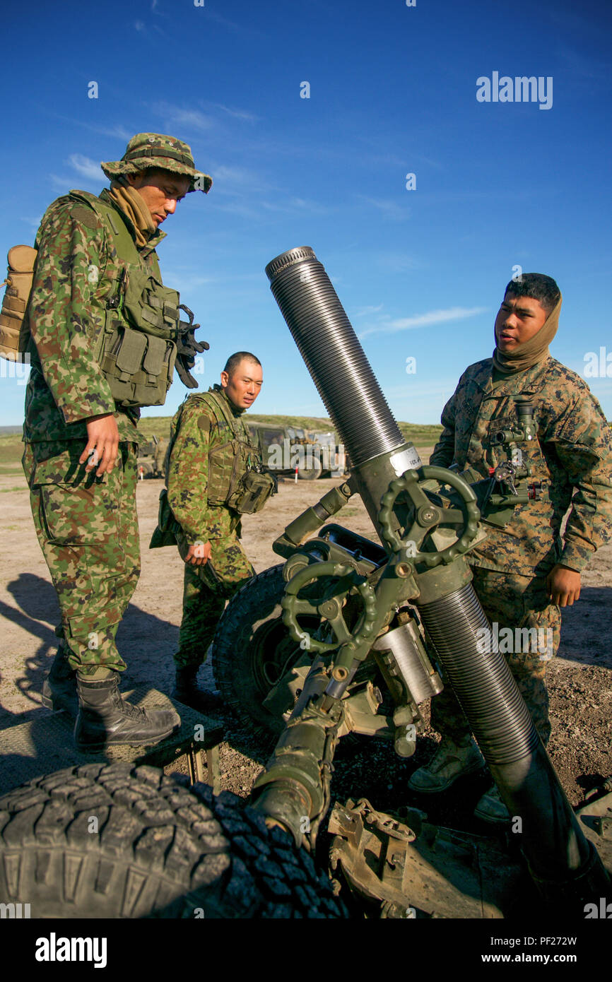 U.S. Marine Pfc. Salvador Cortez, field artillery cannoneer, Alpha Battery, 1st Battalion, 11th Marines, 1st Marine Division, explains the capabilities of the 120mm M327 Towed Rifled Mortar System to Western Army Infantry Regiment, Japan Ground Self-Defense Force, soldier as he looks through the mortar tube during the Supporting Arms Coordinating Center Exercise (SACCEX) for Iron Fist 2016, aboard San Clemente Island, Calif., Feb. 21, 2016. SACCEX  serves as a cooperative learning tool for the US-Japan partnership through the operation of a SACC, which has developed the USMC and JGSDF’s abilit Stock Photo