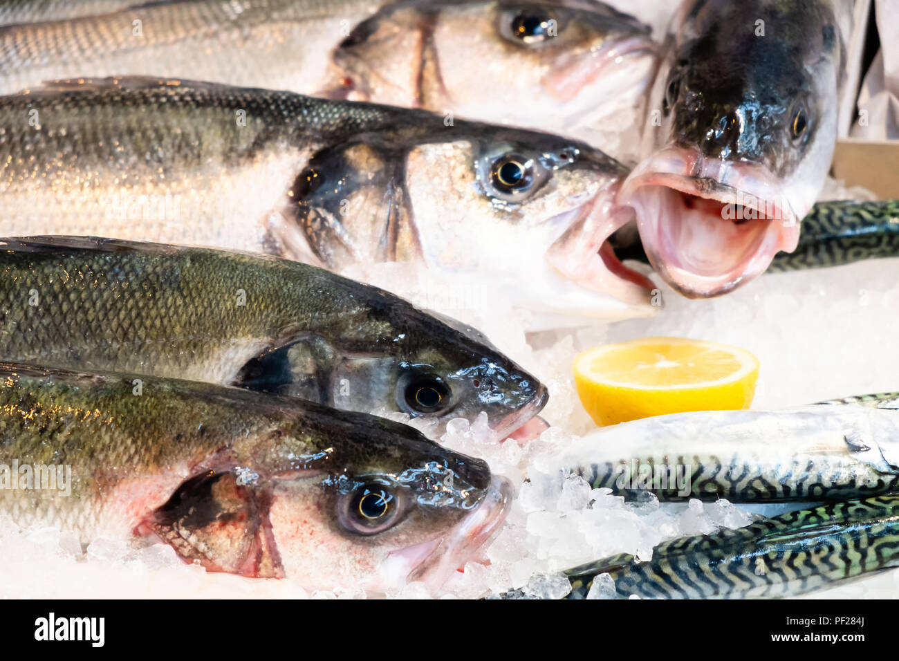 Fresh fish on sale in a London market Stock Photo