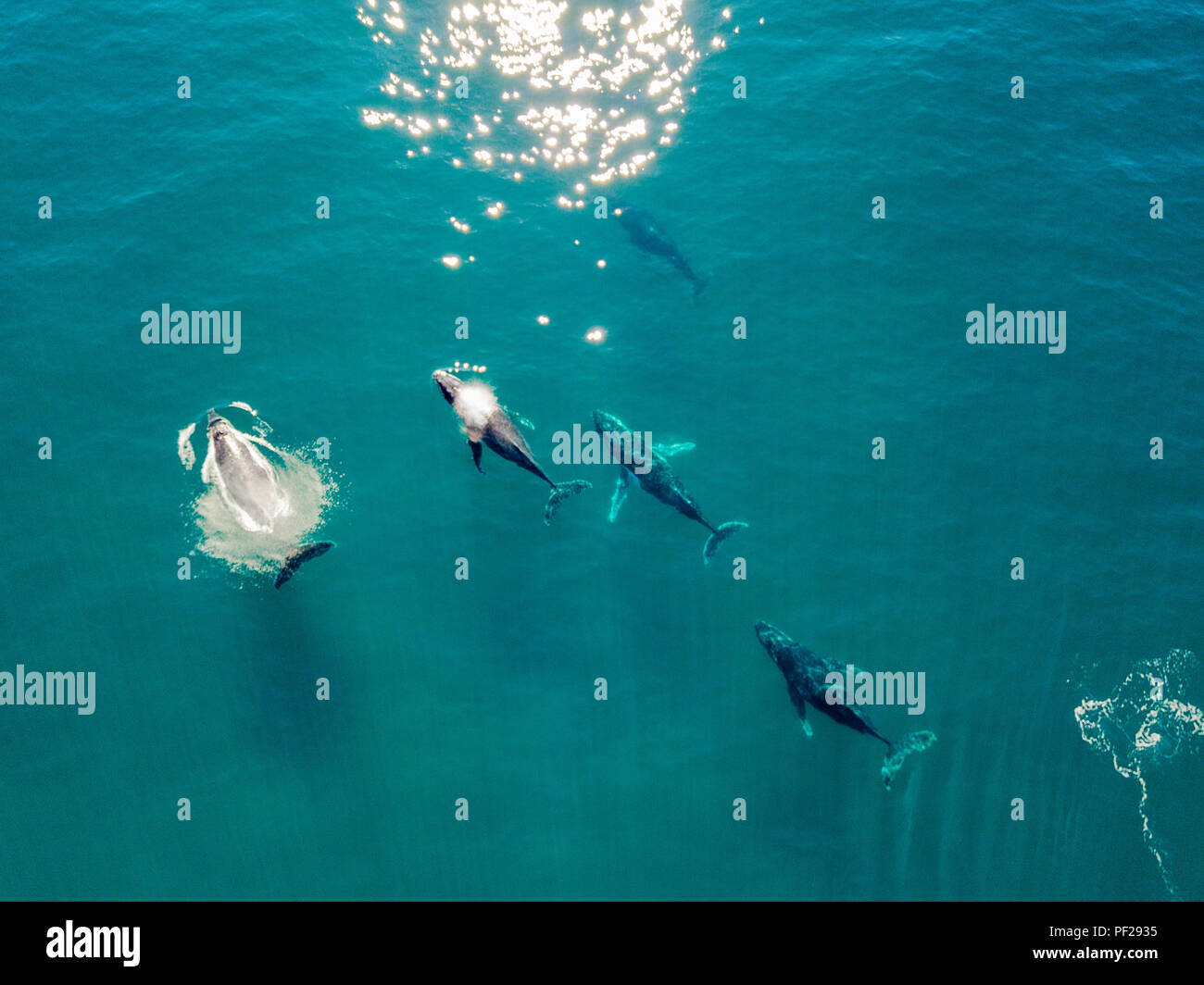 An aerial view of Byron Bay in New South Wales, Australia Stock Photo