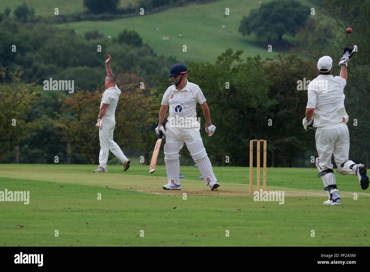 Cricket appeal bowler catch hires stock photography and images Alamy