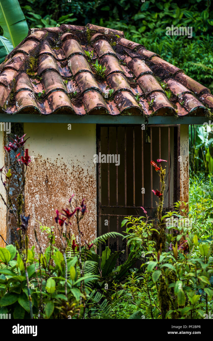 Old abandoned hut in the rain forest Stock Photo