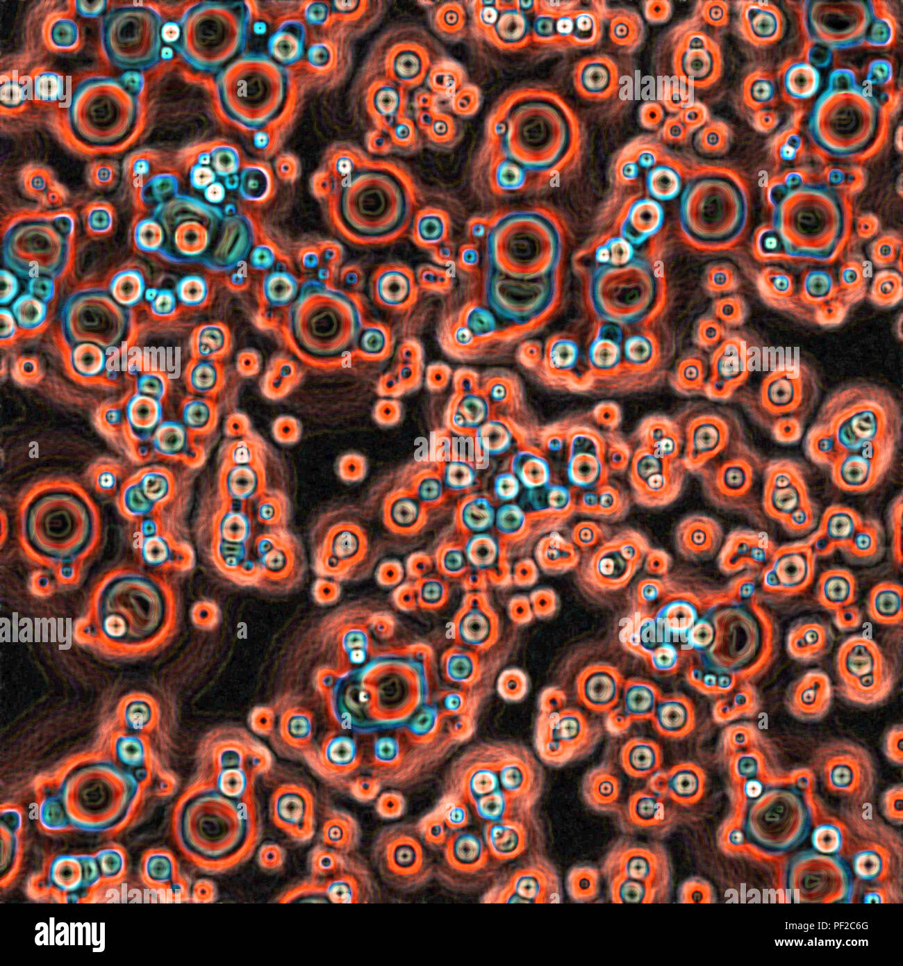 Biofilm Fungus High Resolution Stock Photography and Images Alamy