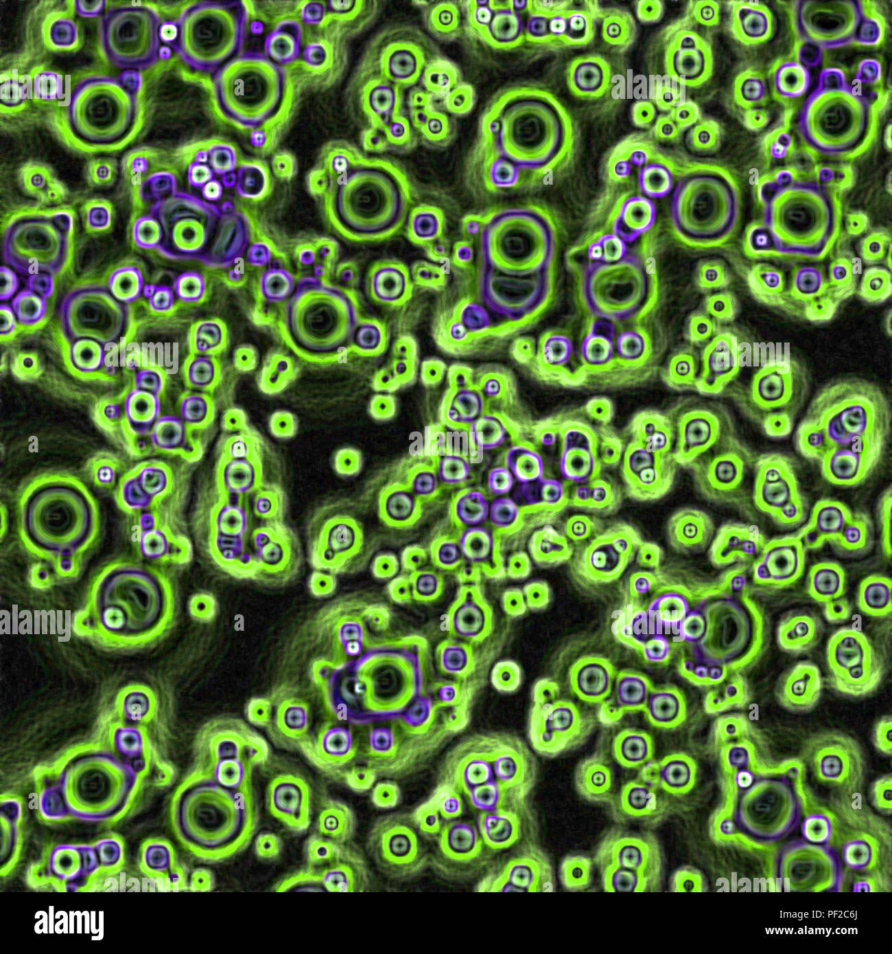 Biofilm Fungus High Resolution Stock Photography and Images - Alamy
