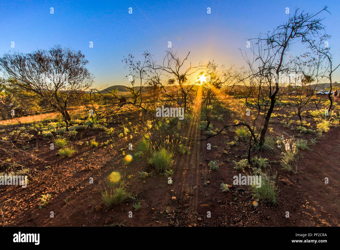 Sun rising over red rock and green outback landscape Stock Photo - Alamy