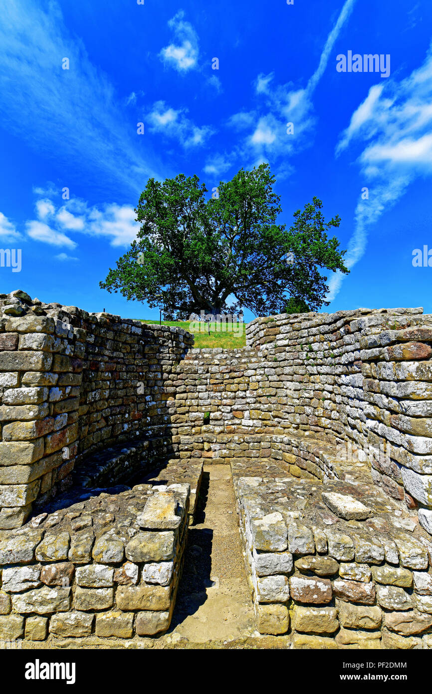 English Heritage Chesters Fort Northumberland The Changing Hall Stock ...